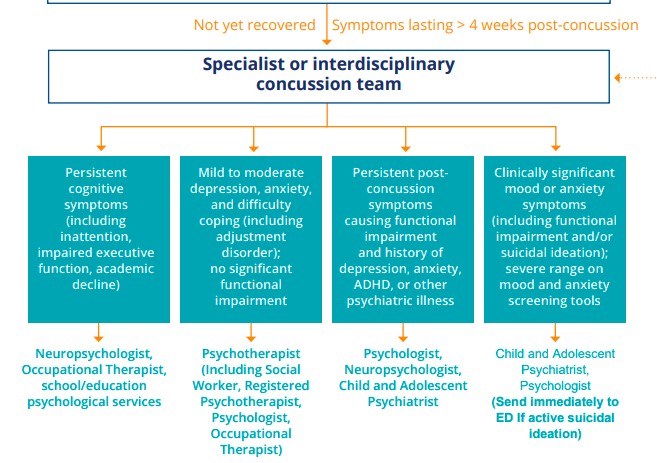 Tool 8.1:  Post-concussion Mental Health Considerations Algorithm