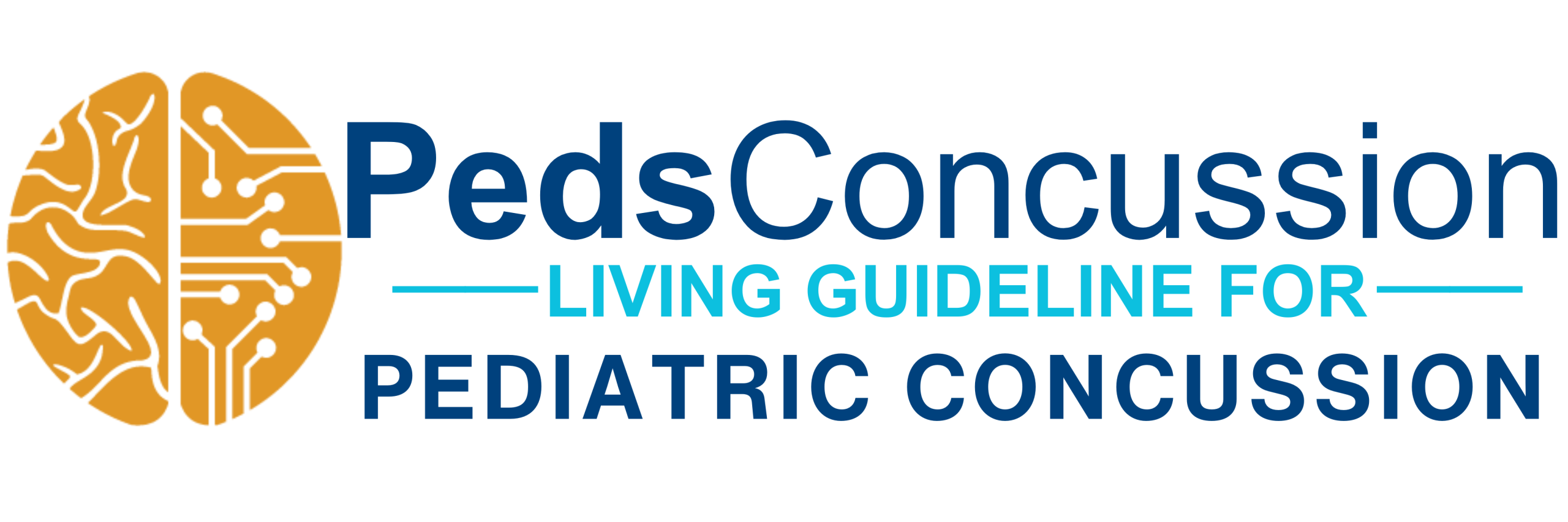 Living Guideline for Pediatric Concussion